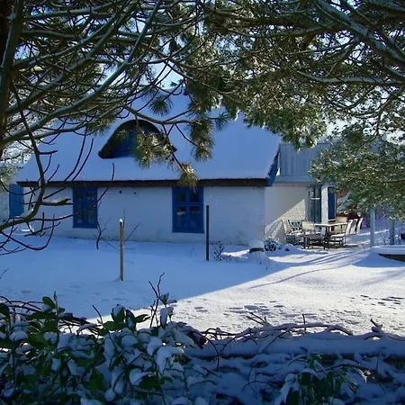 Ferienhaus Am Salzgrasland 펜션 브레세위츠